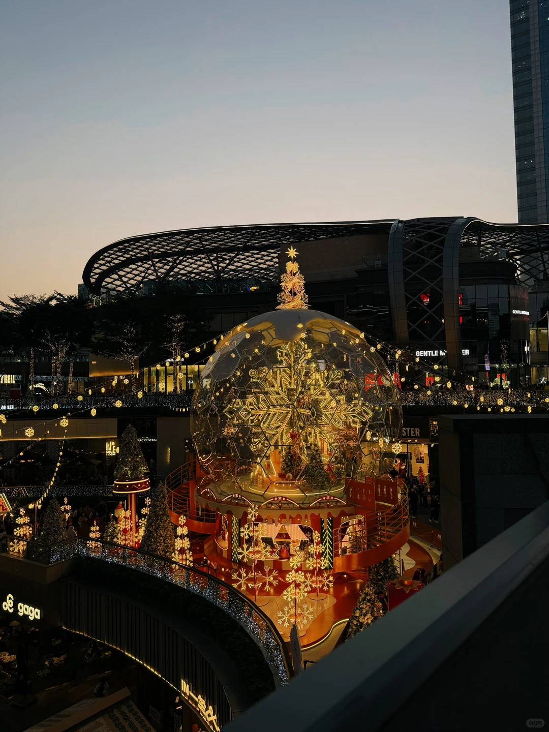 路过广州的冬天，繁花似锦