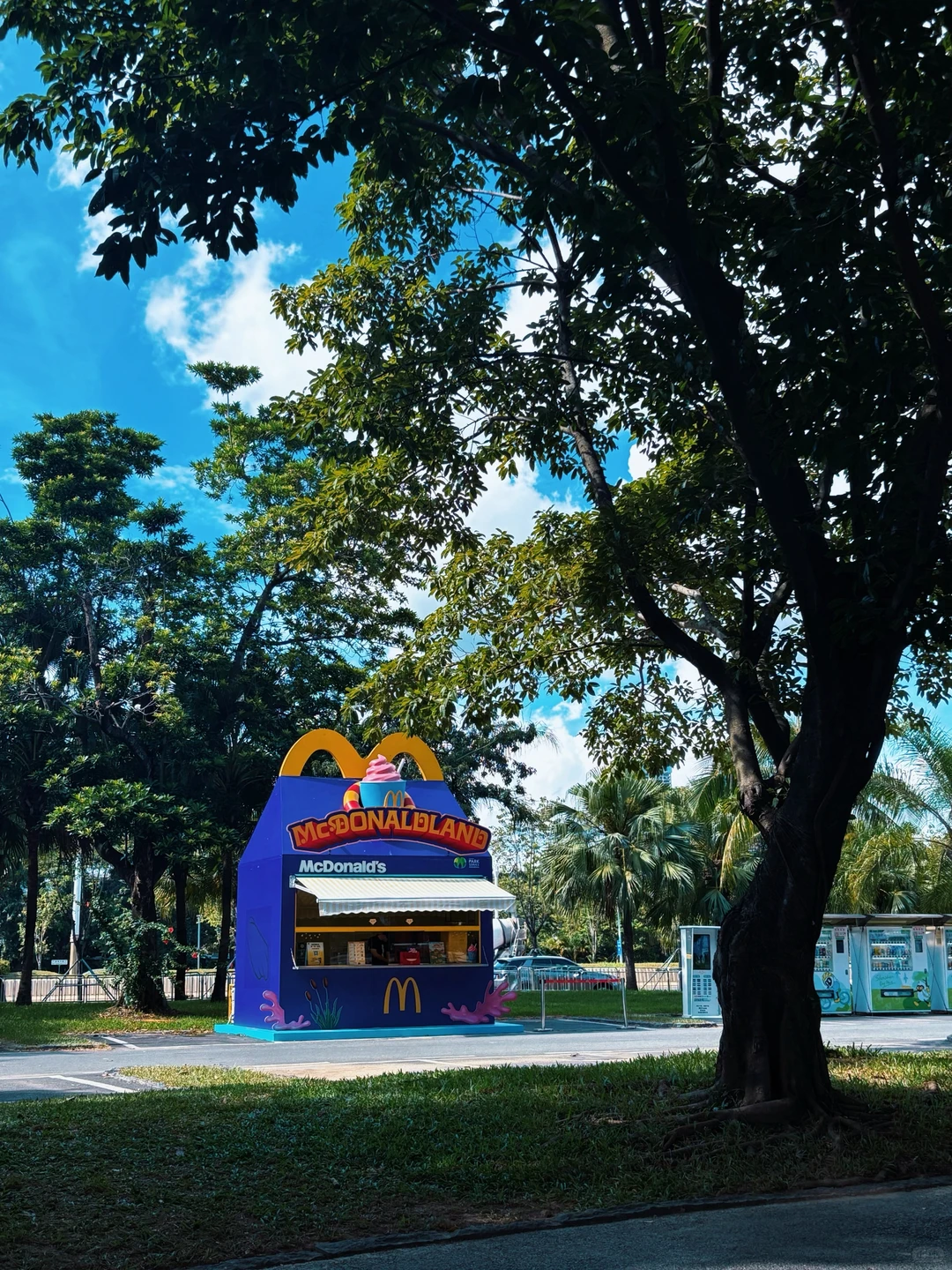 🌊一出地铁便是海！深圳湾能满足我所有愿望