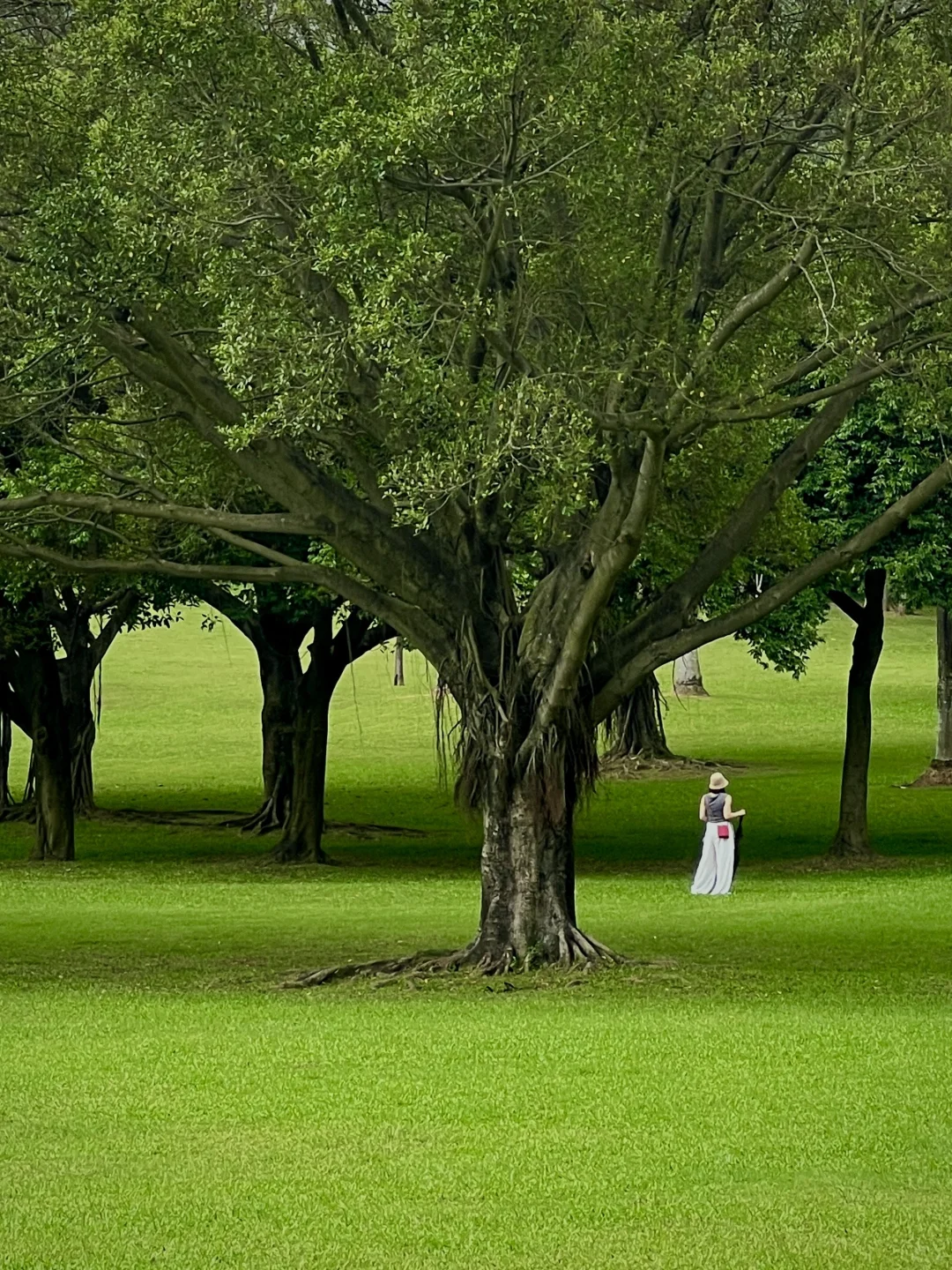 太治愈了！我在东莞找到了现实版绿野仙踪