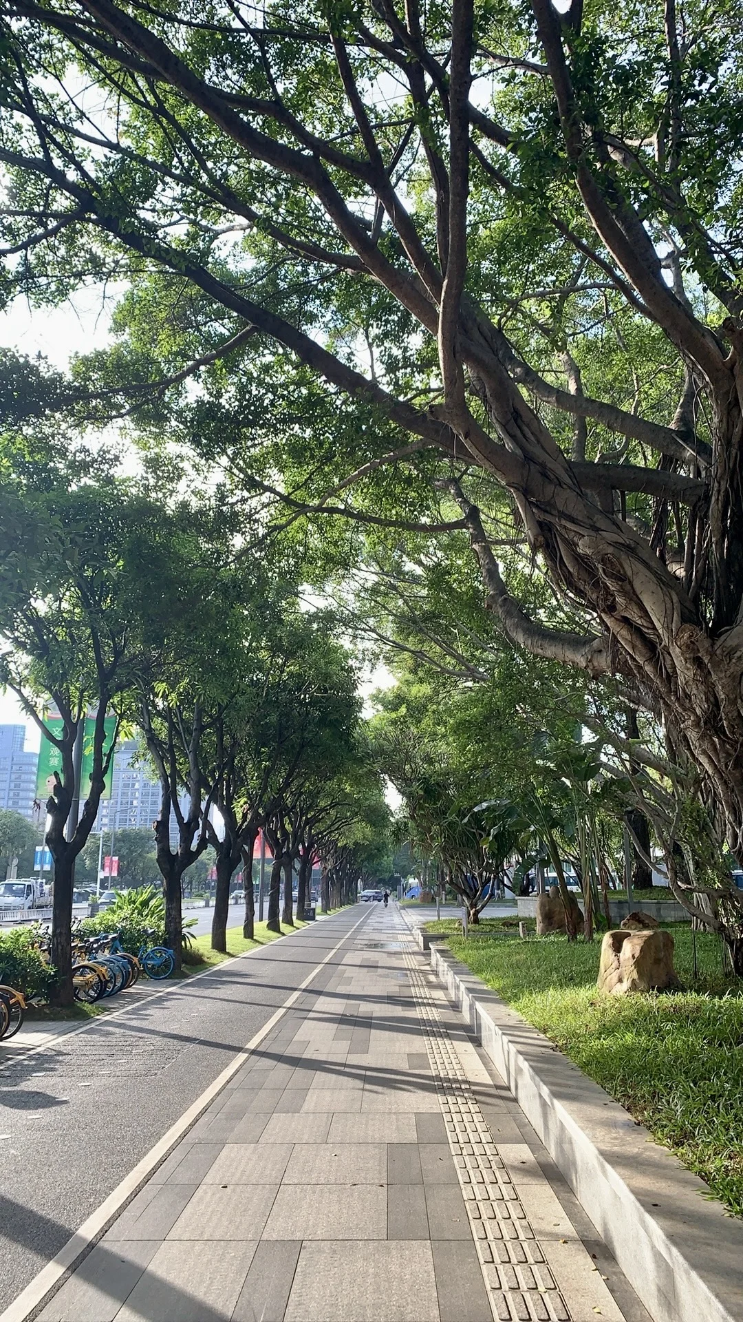 突然发现东莞的街道也很美