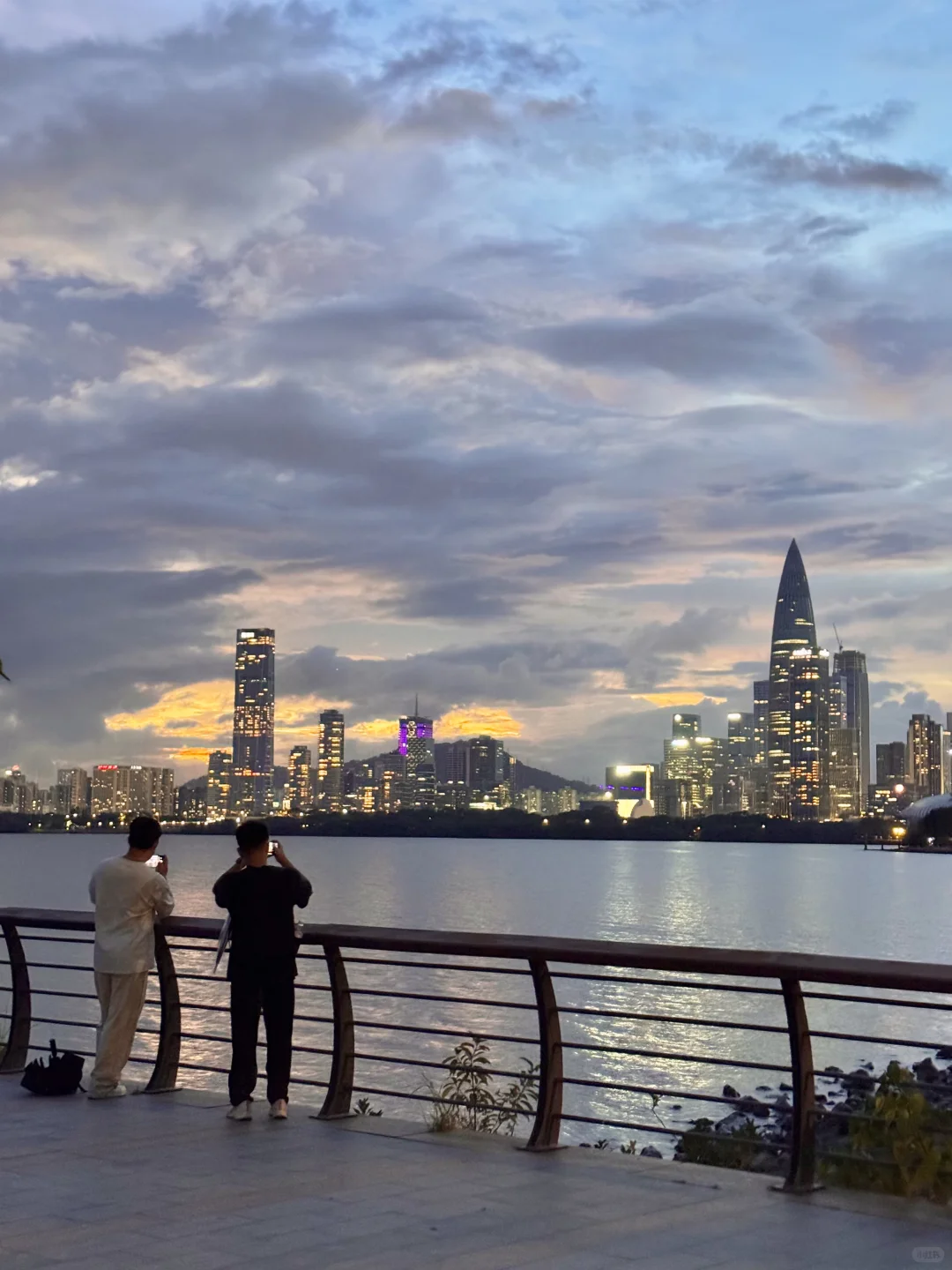 遇见电影《怦然心动》🌳