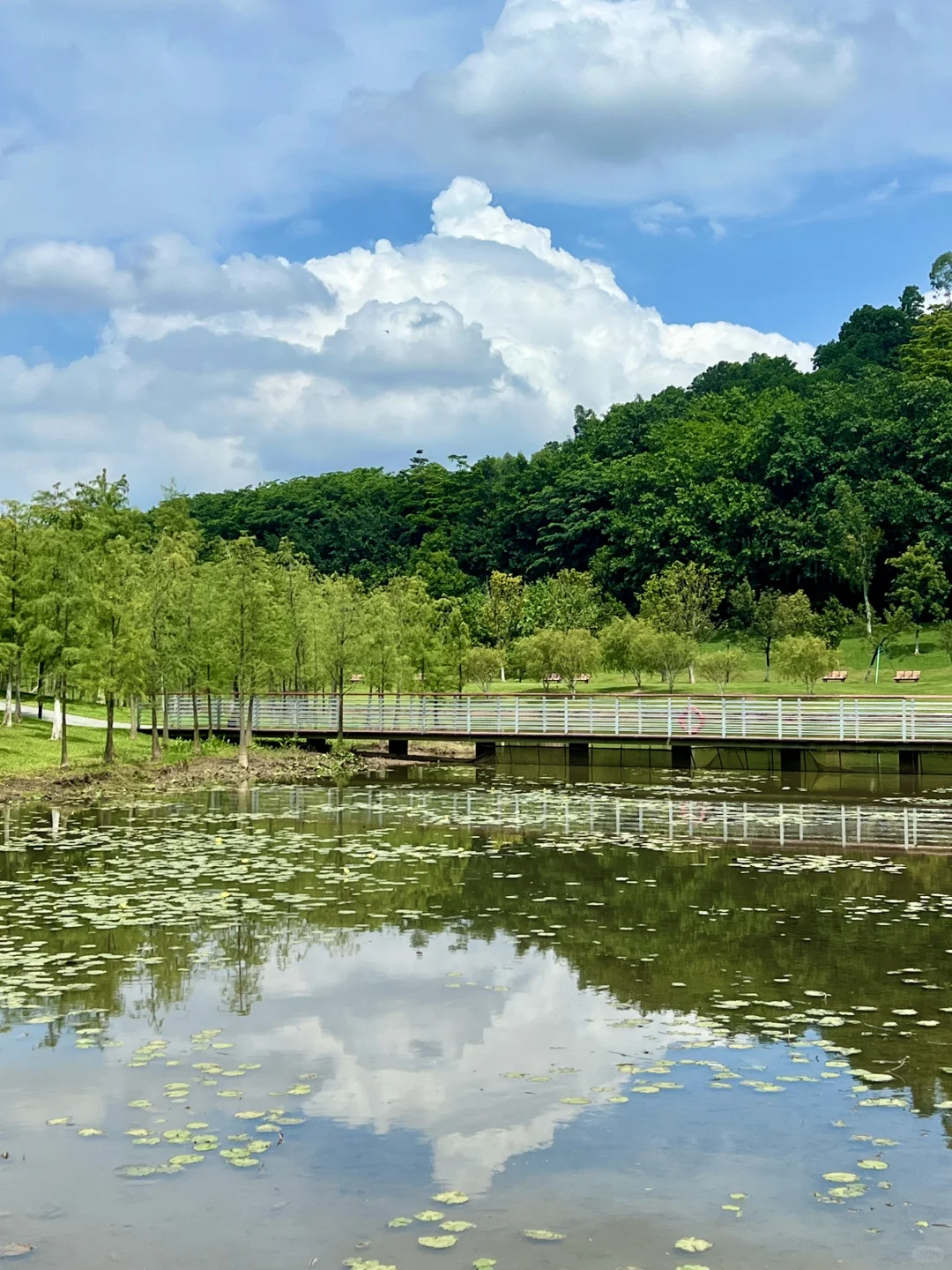 太治愈了！我在东莞找到了现实版绿野仙踪