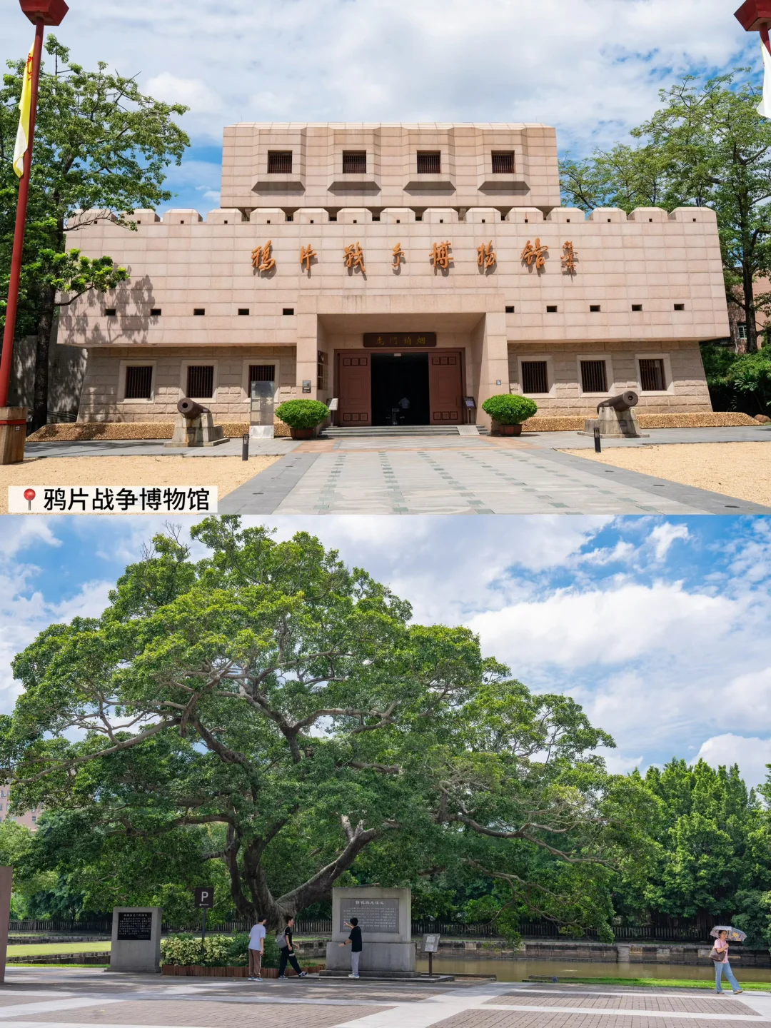 东莞虎门…最值带孩子一日游历史人文路线