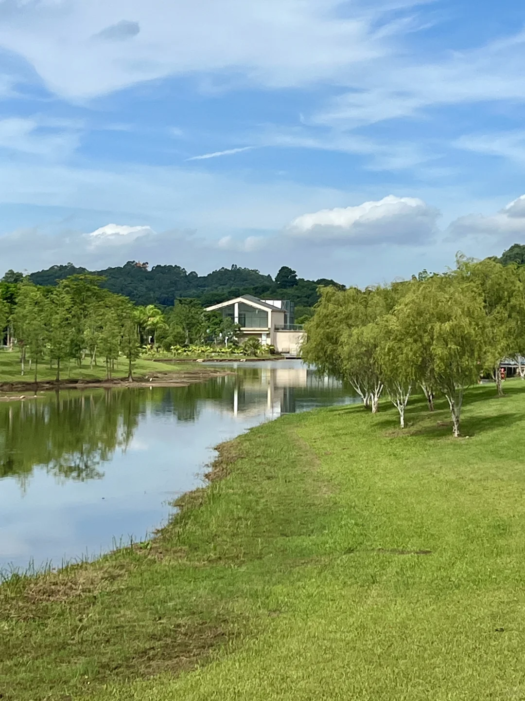 太治愈了！我在东莞找到了现实版绿野仙踪