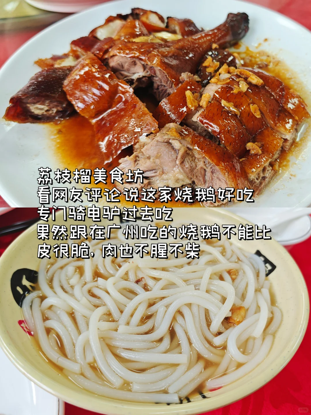 广州1h直达❗东莞松山湖游玩攻略（附路线）