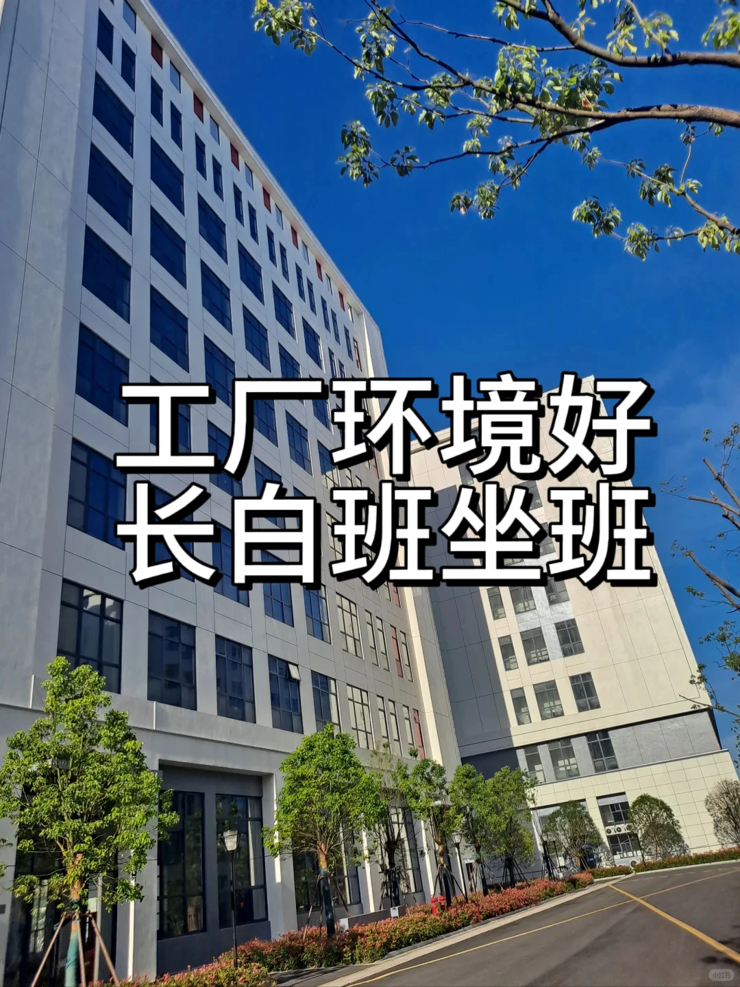 东莞玩具厂、来了十个人没一个跑路