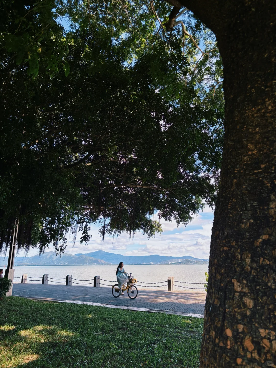 🌊一出地铁便是海！深圳湾能满足我所有愿望