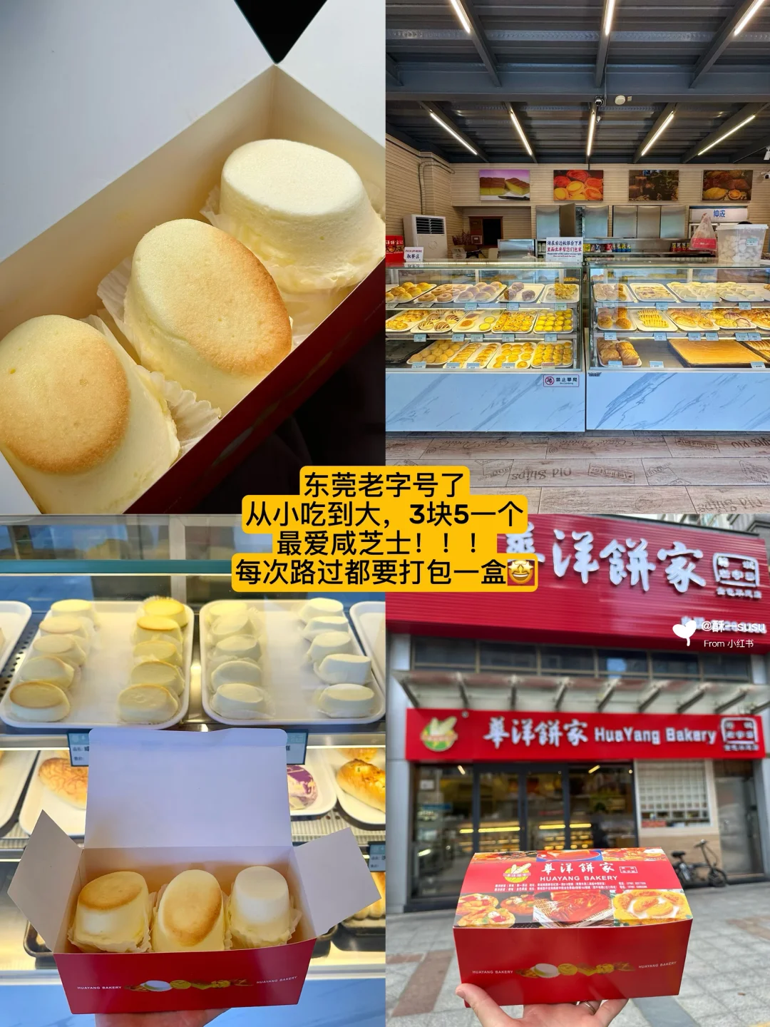 东莞老城区最推荐citywalk的一条路线