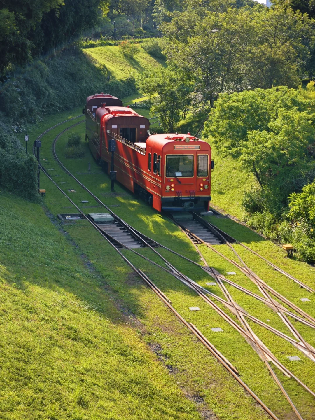 广州1h直达❗东莞松山湖游玩攻略（附路线）