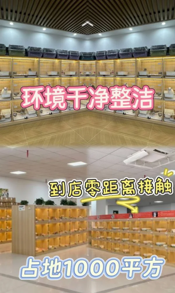 广州看猫看狗推荐地🔥天河大型猫狗基地来了