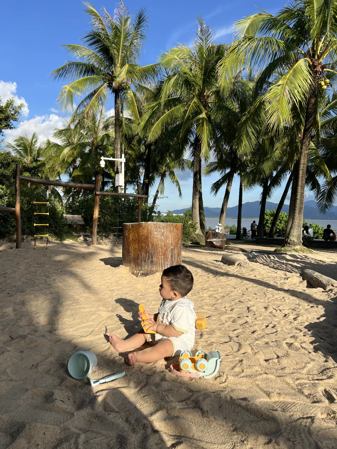 遛娃好去处（1）|深圳湾公园椰林沙滩🏝️
