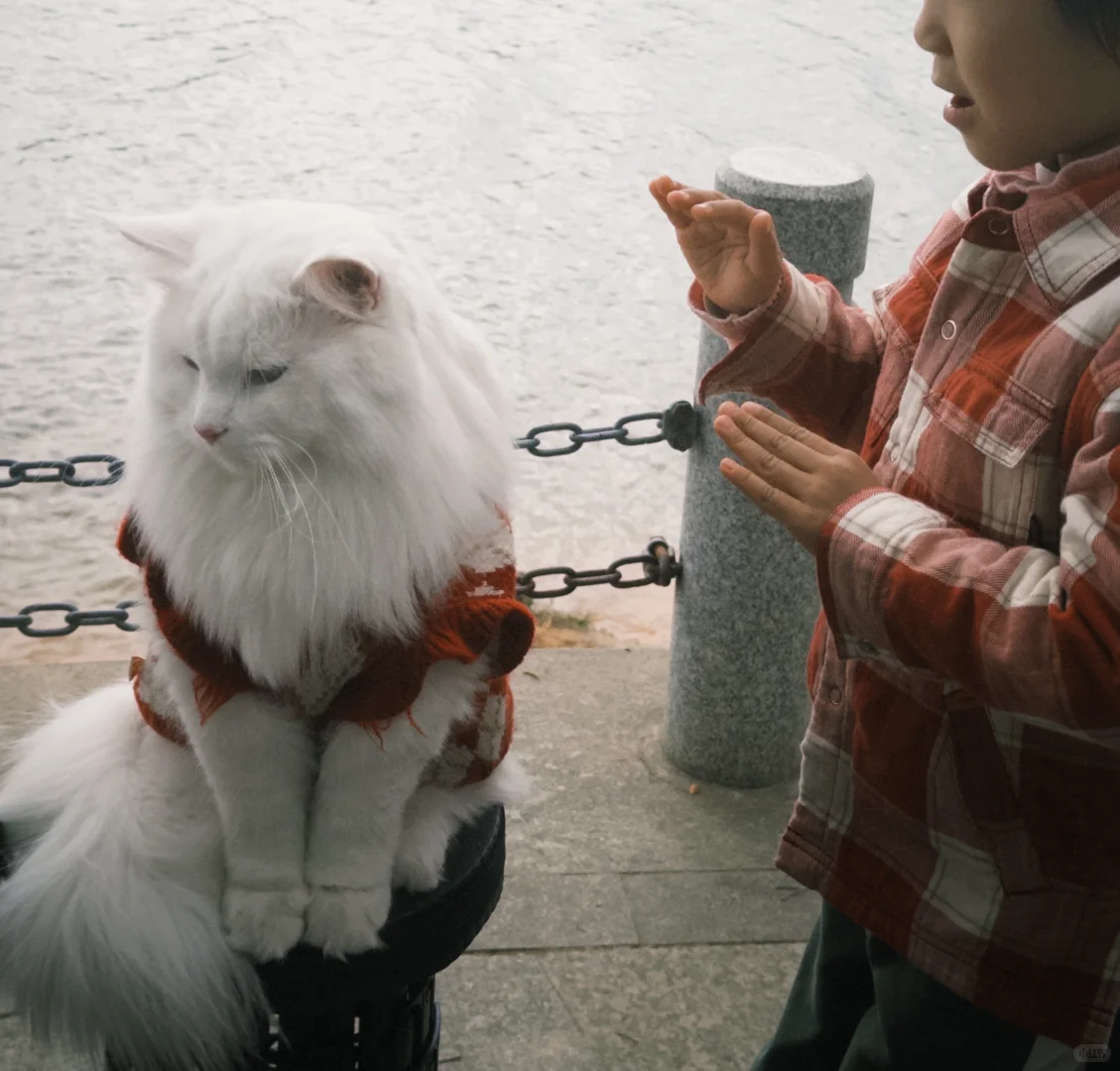 推荐一个适合带东莞仇人来遛弯的地方