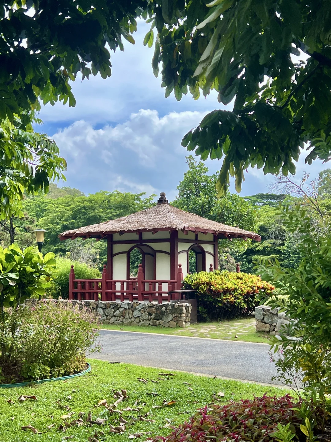 太治愈了！我在东莞找到了现实版绿野仙踪