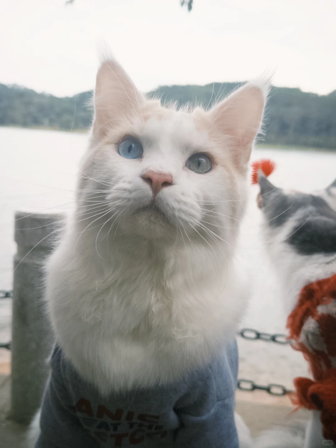 推荐一个适合带东莞仇人来遛弯的地方