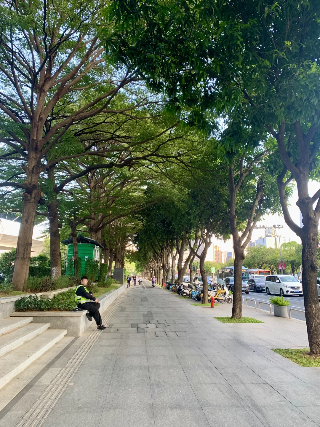 突然发现东莞的街道也很美