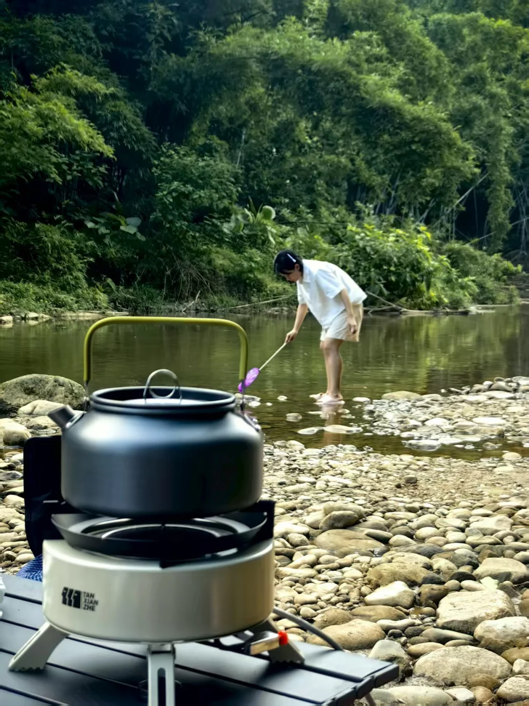 东莞附近超多鱼的山间小溪流在这