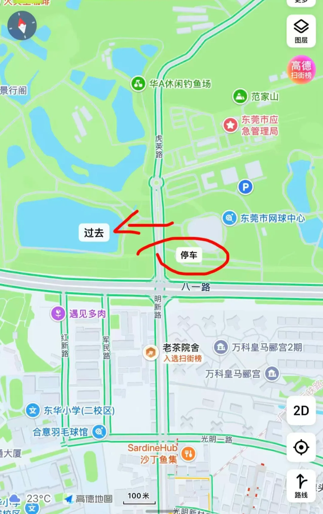 东莞落羽杉红了🍂