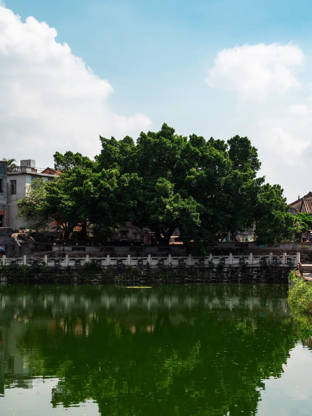 东莞八百年的古村，是属于东莞人的小江南❗
