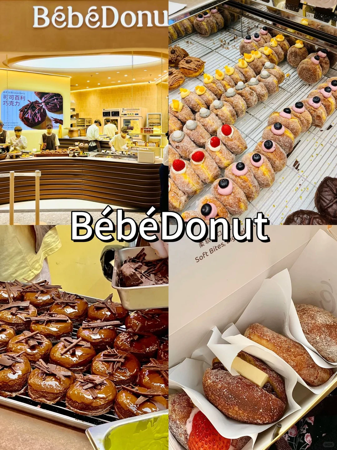 离开深圳之前！！我只做这一件事！！！！