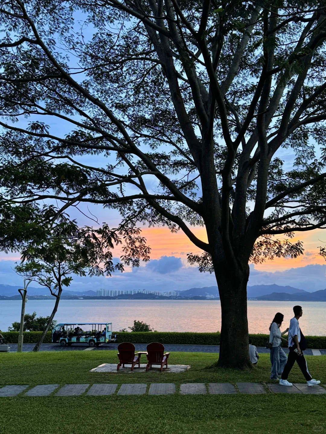 遇见电影《怦然心动》🌳
