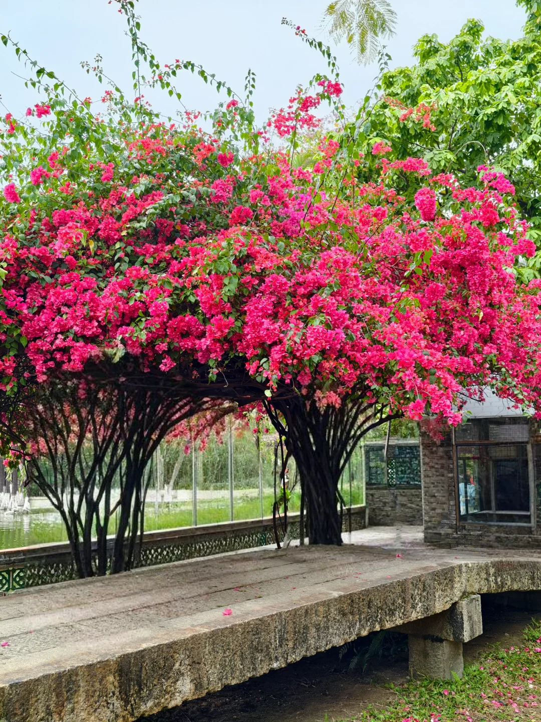东莞莞城一日行Citywalk路线‼️不走回头路