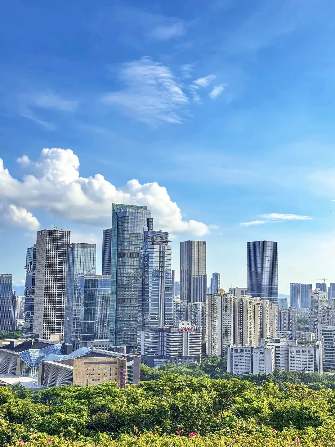空气都好新鲜的深圳！！！