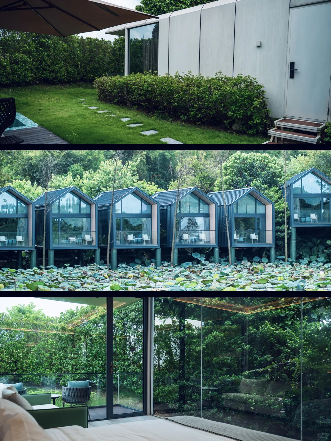 东莞八百年的古村，是属于东莞人的小江南❗