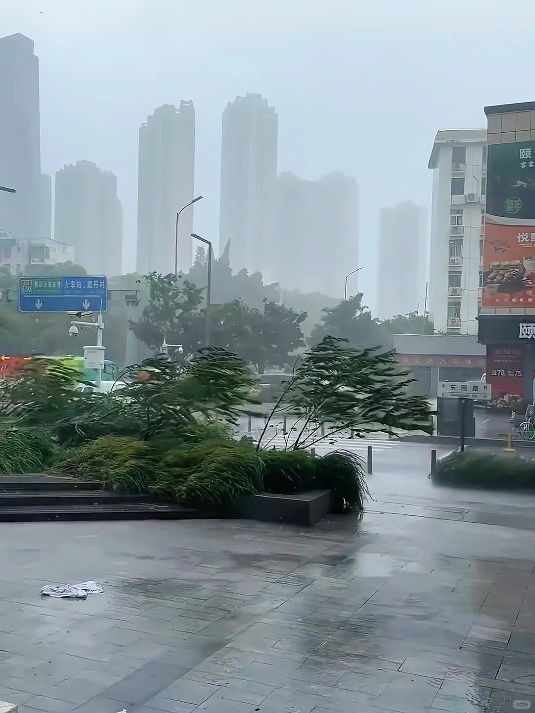 📍8.17深圳最新情况！计划去的先延迟⚠️