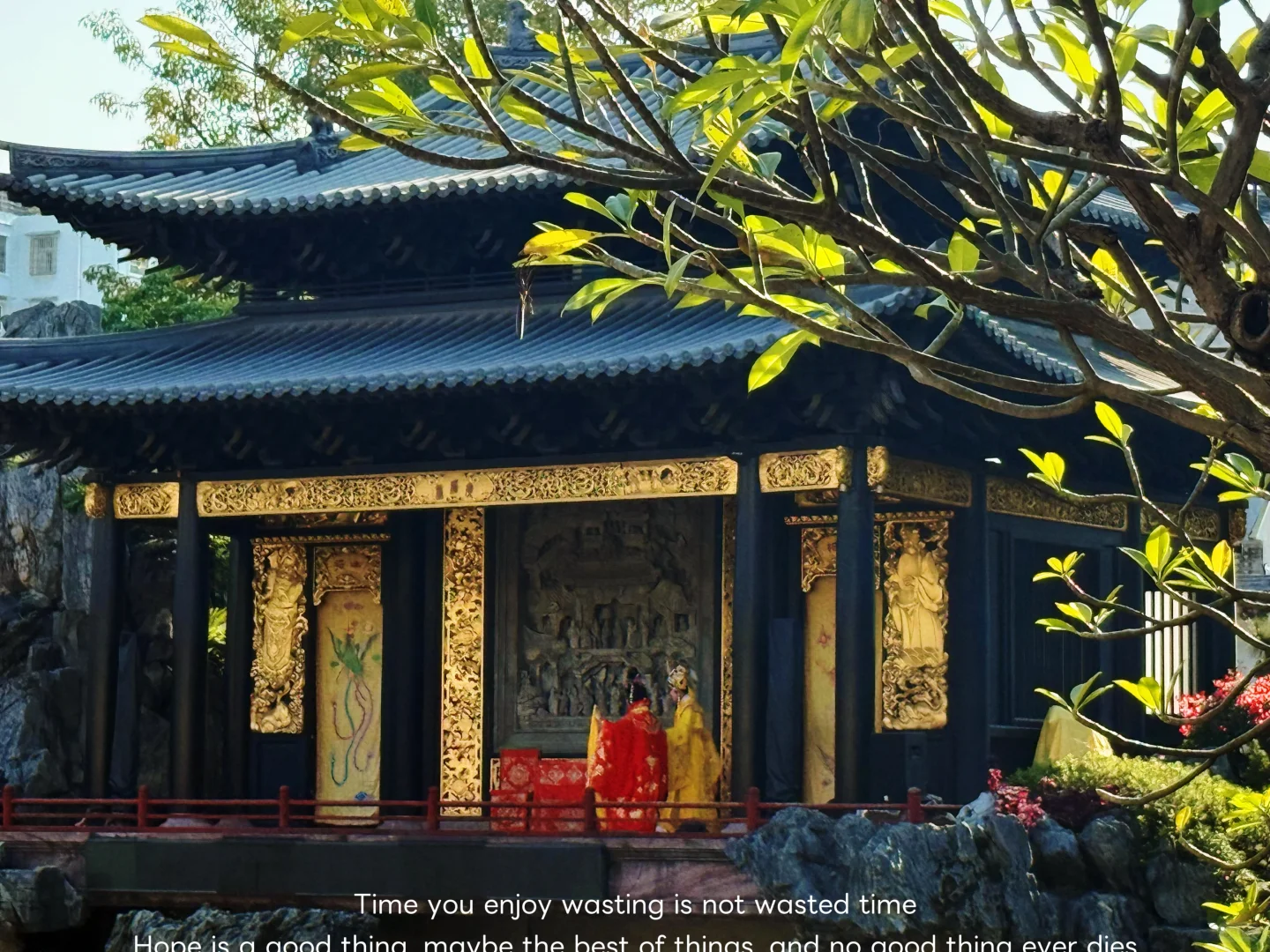 路过广州的冬天，繁花似锦