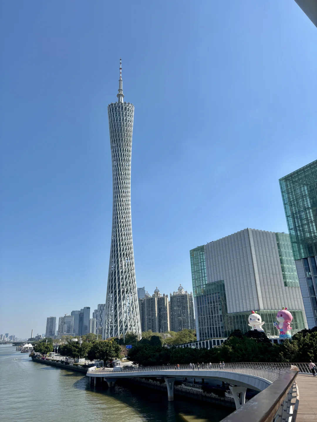 听说广州有开挂的樱花🌸