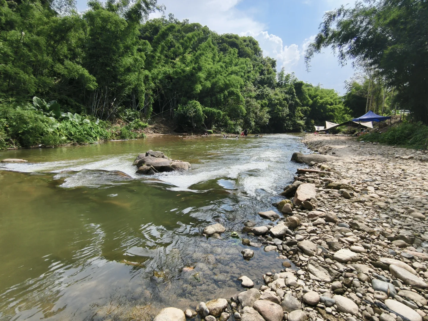 东莞附近超多鱼的山间小溪流在这