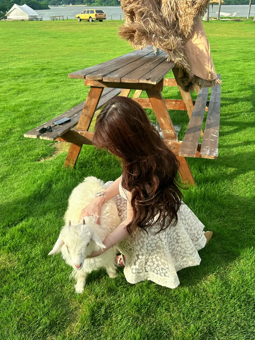 在广州！！我找到青青草原啦！！！