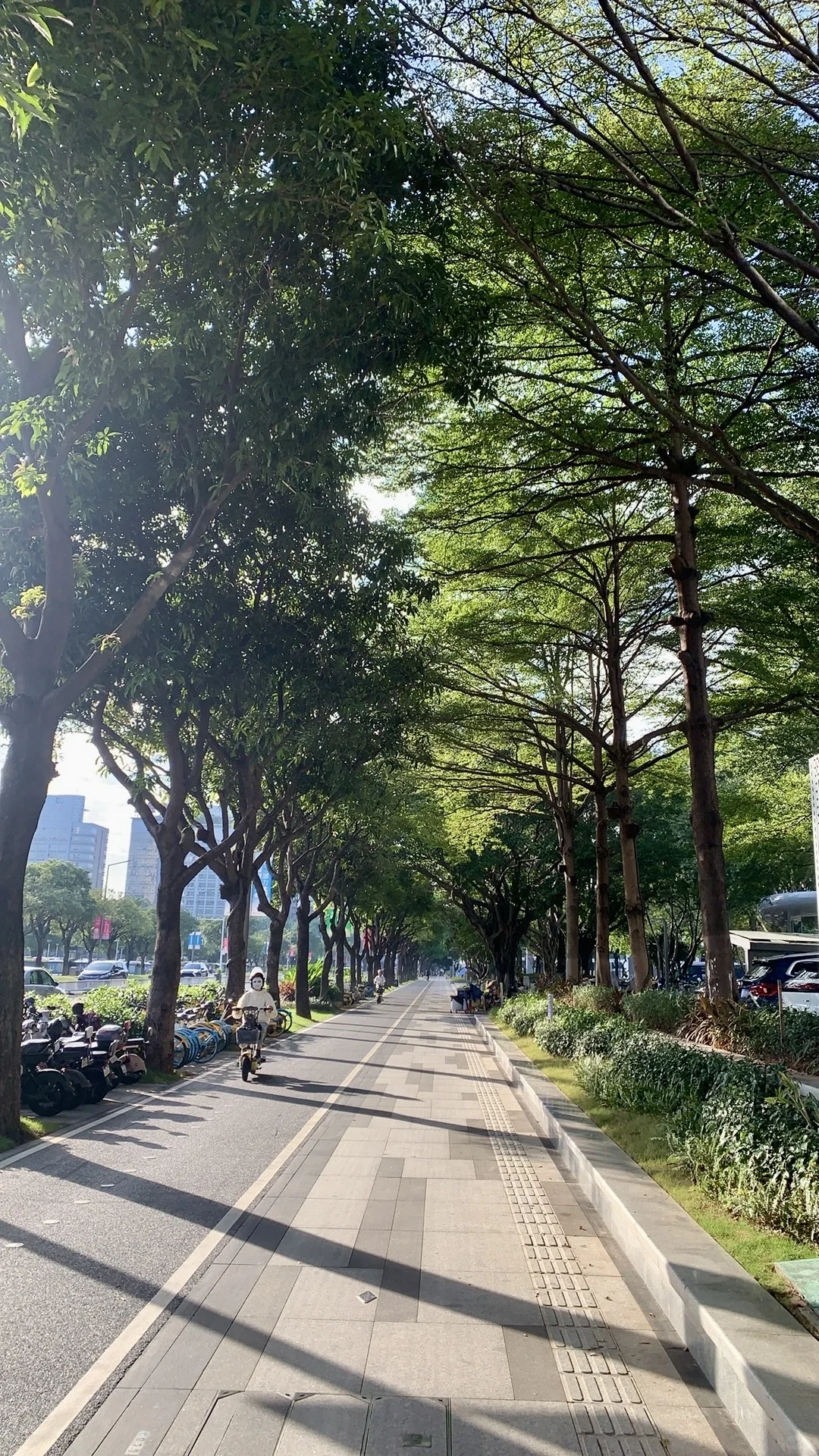 突然发现东莞的街道也很美