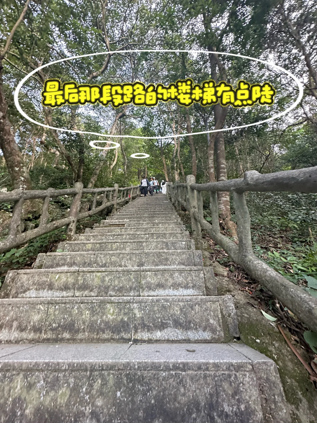 🏔️东莞第一峰！（银屏山登顶攻略）