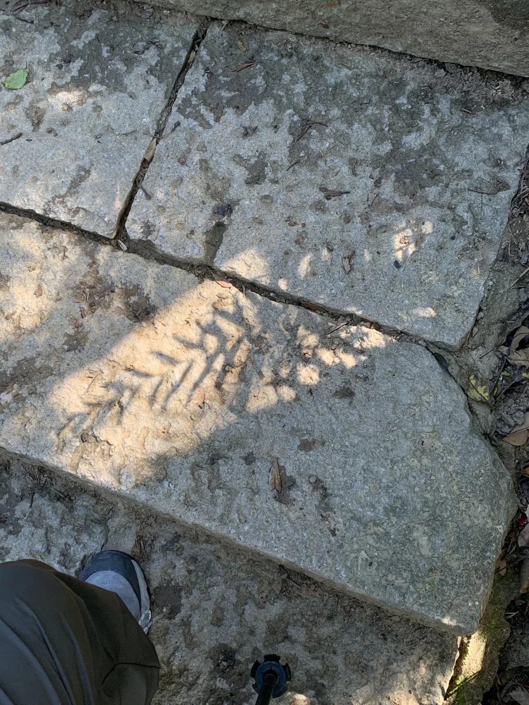 深圳类似梧桐山这样的地方还有什么推荐！