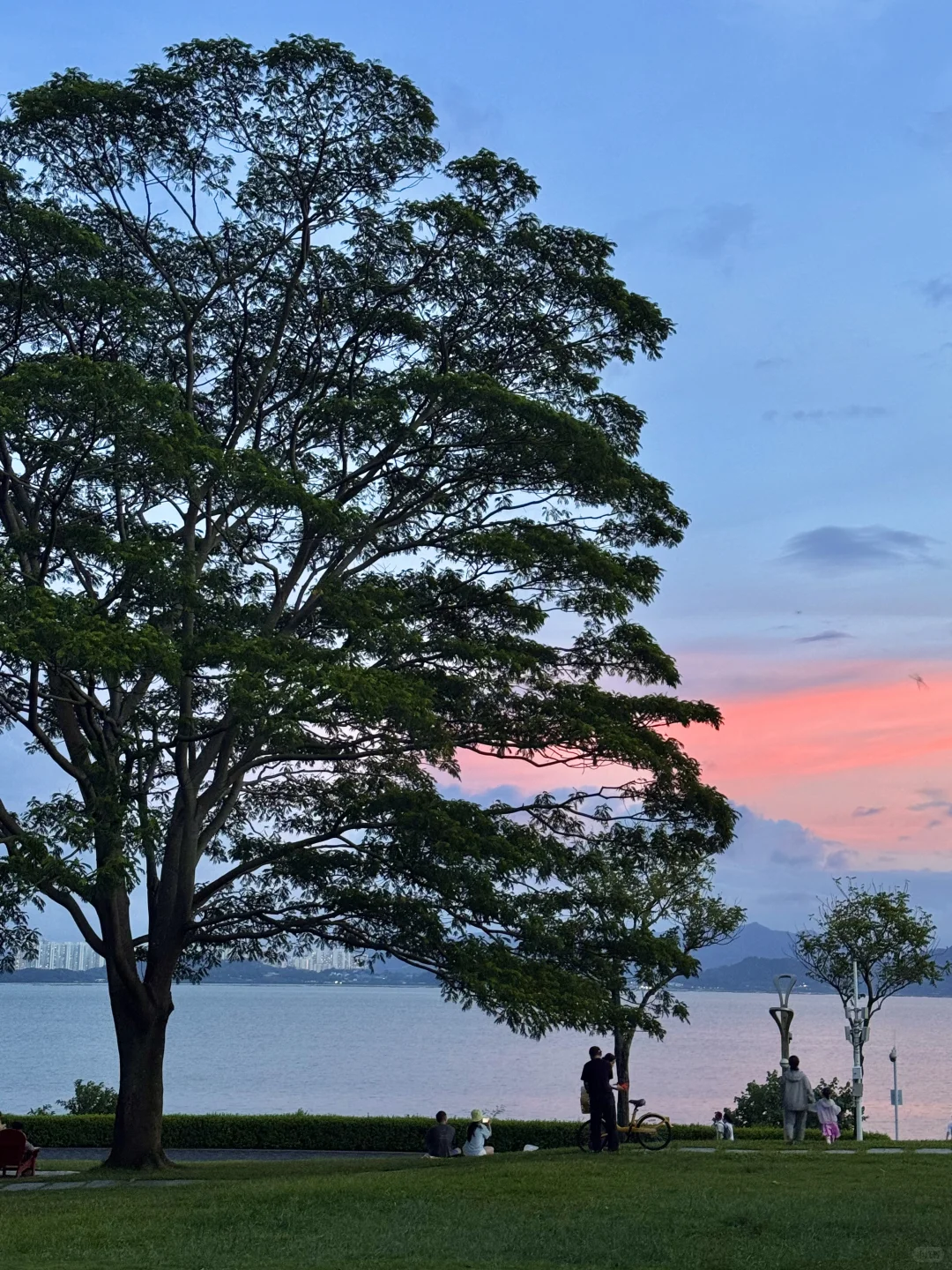 遇见电影《怦然心动》🌳