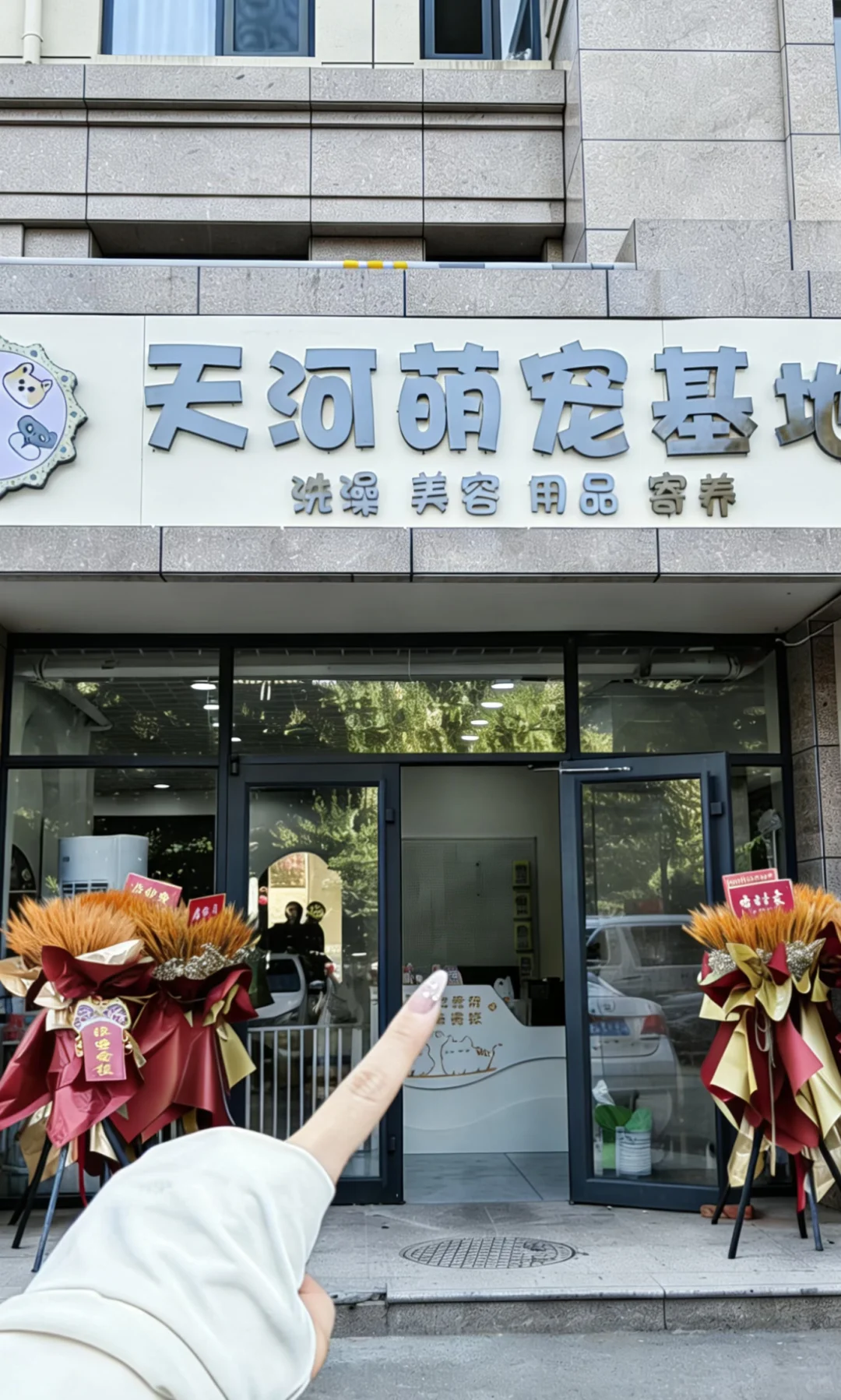 广州看猫看狗推荐地🔥天河大型猫狗基地来了