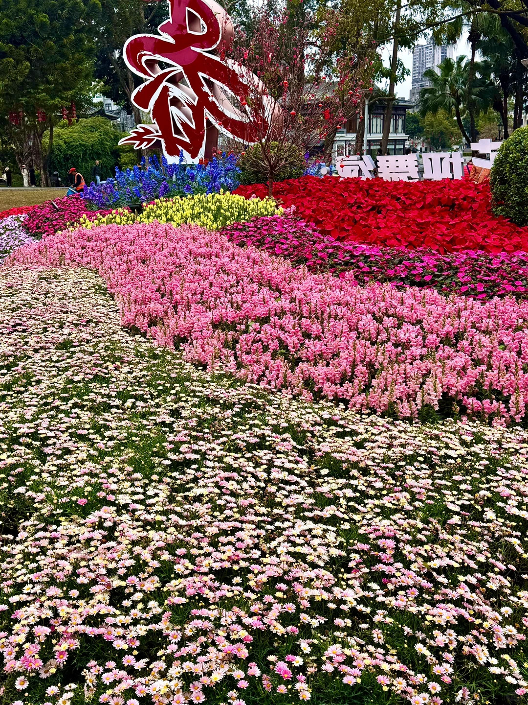 为了这18张Live图来趟广州……