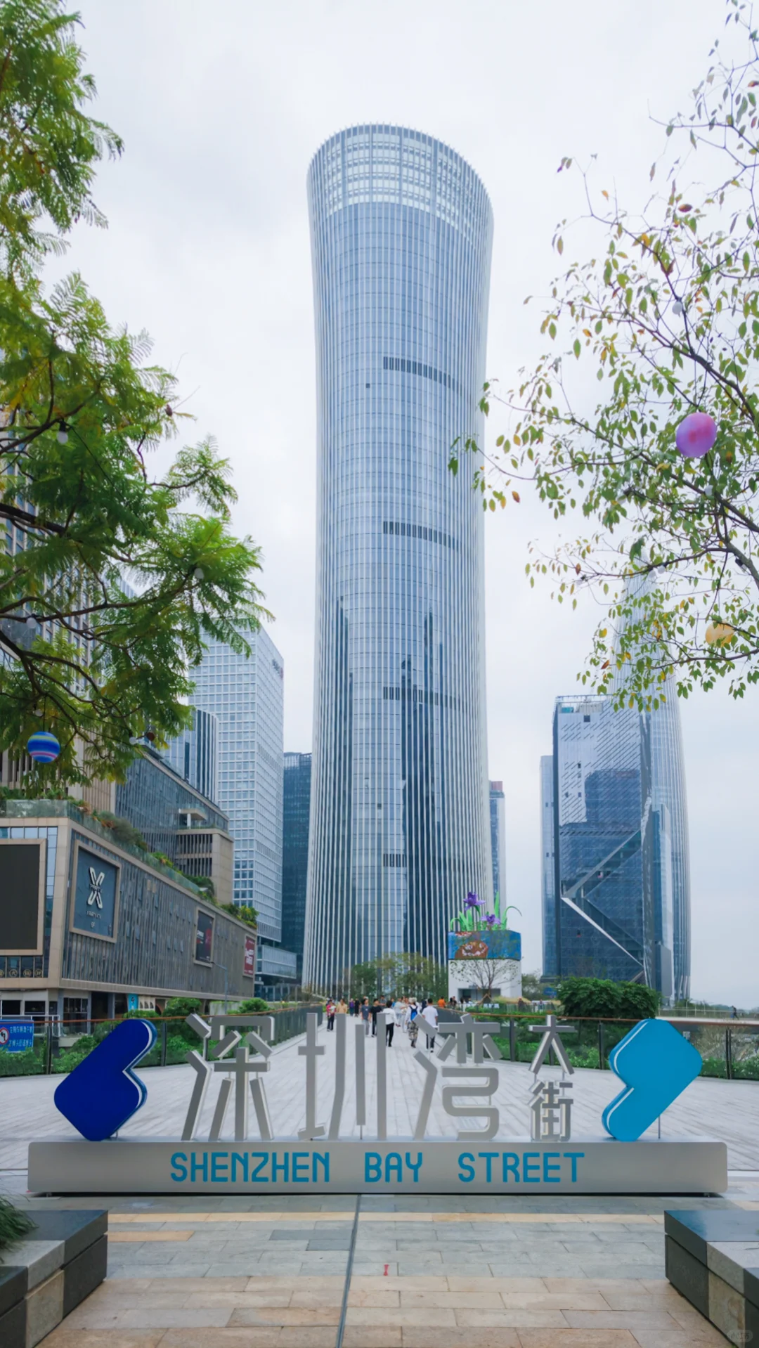 一条2公里的街，看遍深圳最顶的“壕”❗️