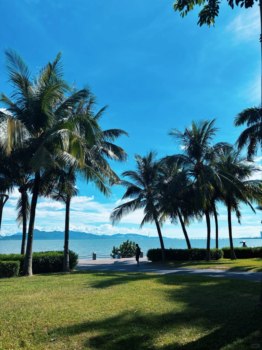 🌊一出地铁便是海！深圳湾能满足我所有愿望