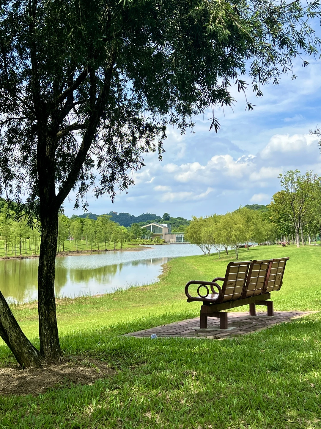 太治愈了！我在东莞找到了现实版绿野仙踪