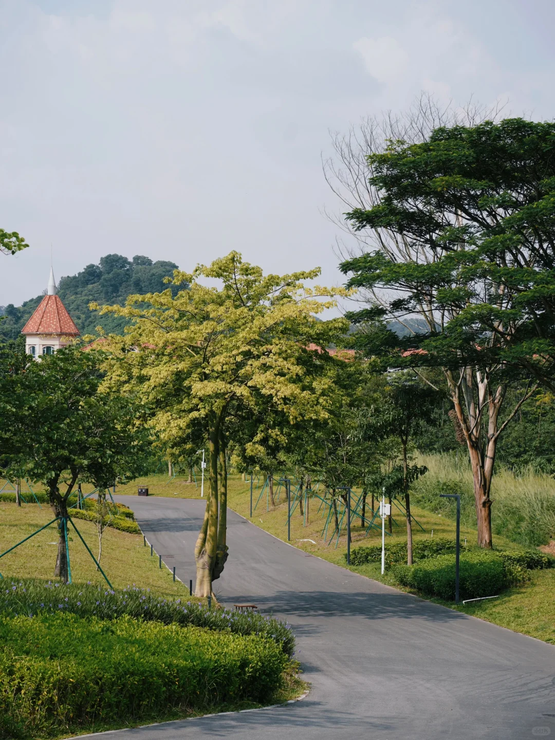 🔥东莞隐藏版“小九寨沟”！水濂山碧玉湖公园
