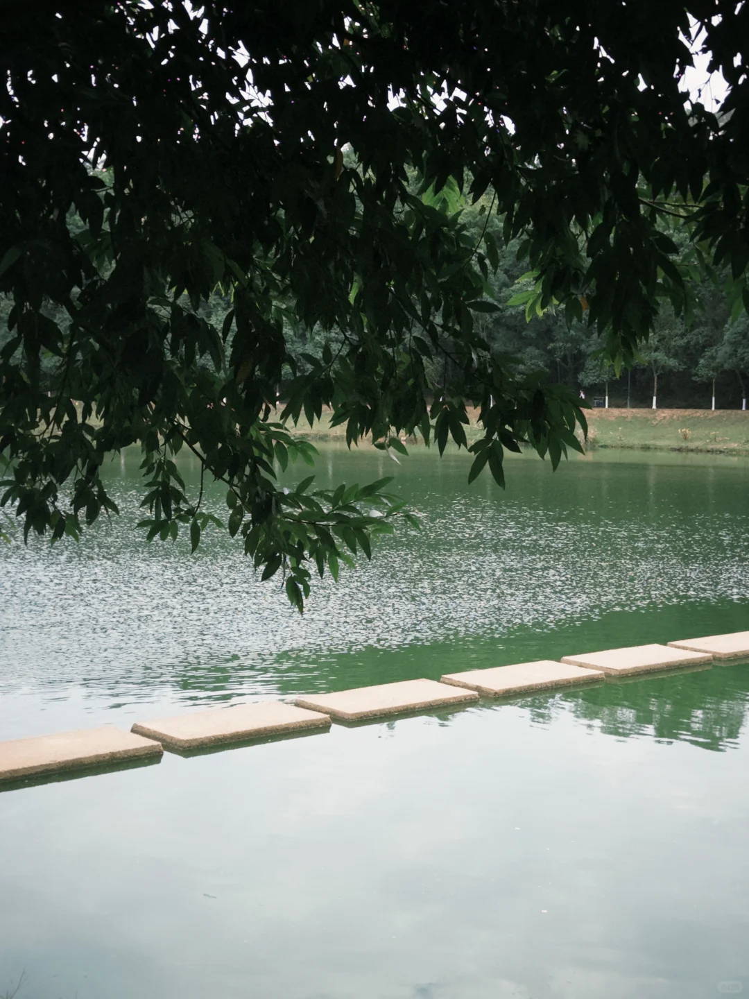 推荐一个适合带东莞仇人来遛弯的地方