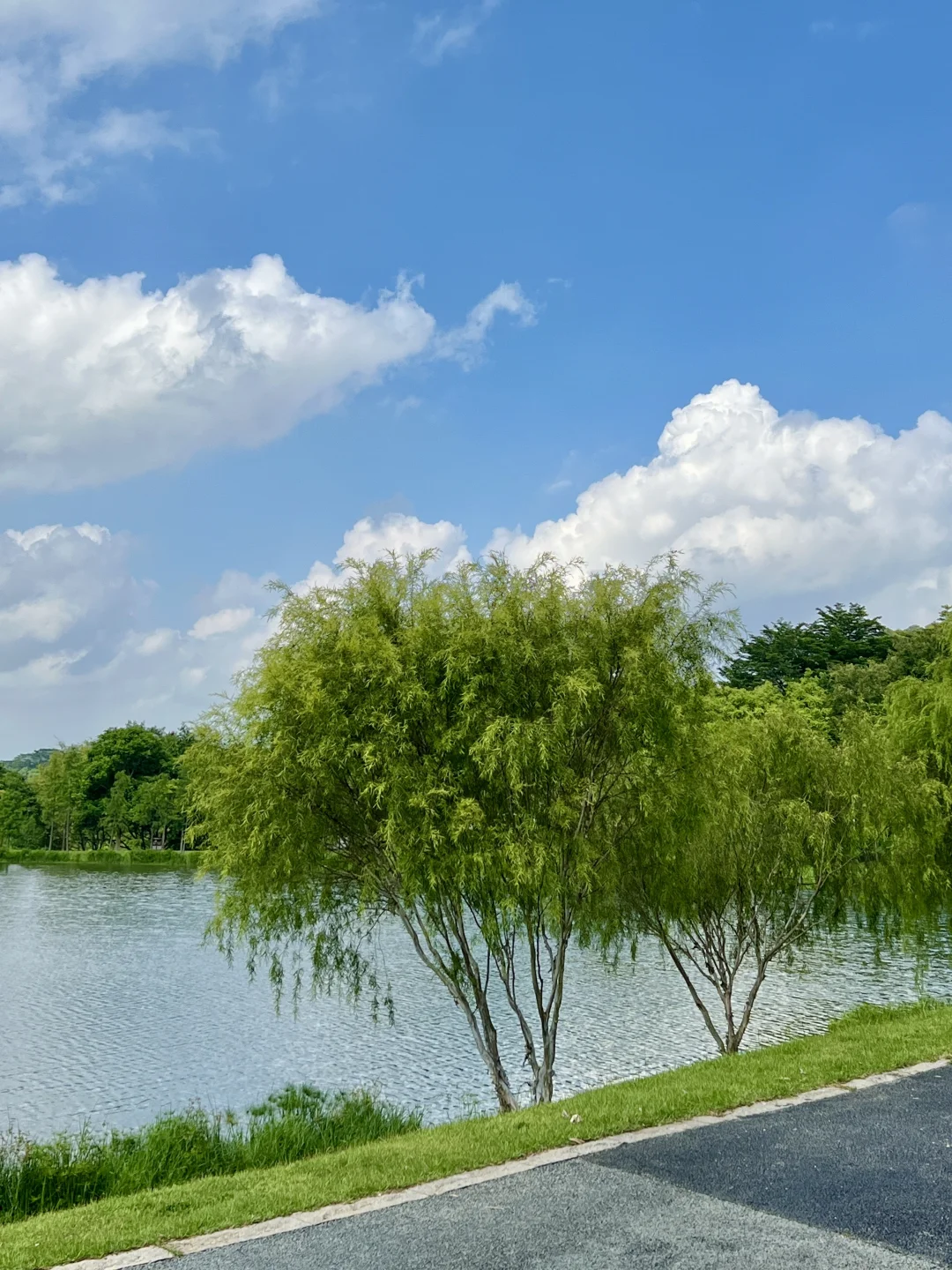 太治愈了！我在东莞找到了现实版绿野仙踪