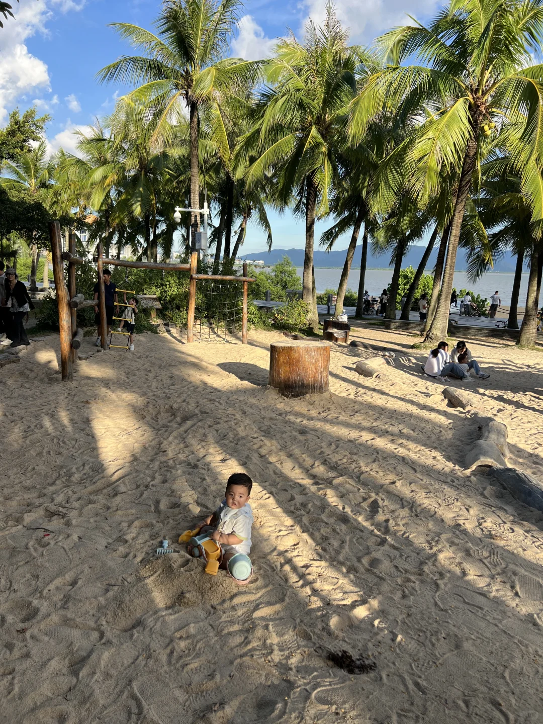 遛娃好去处（1）|深圳湾公园椰林沙滩🏝️