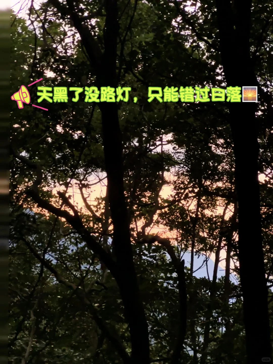 🏔️东莞第一峰！（银屏山登顶攻略）