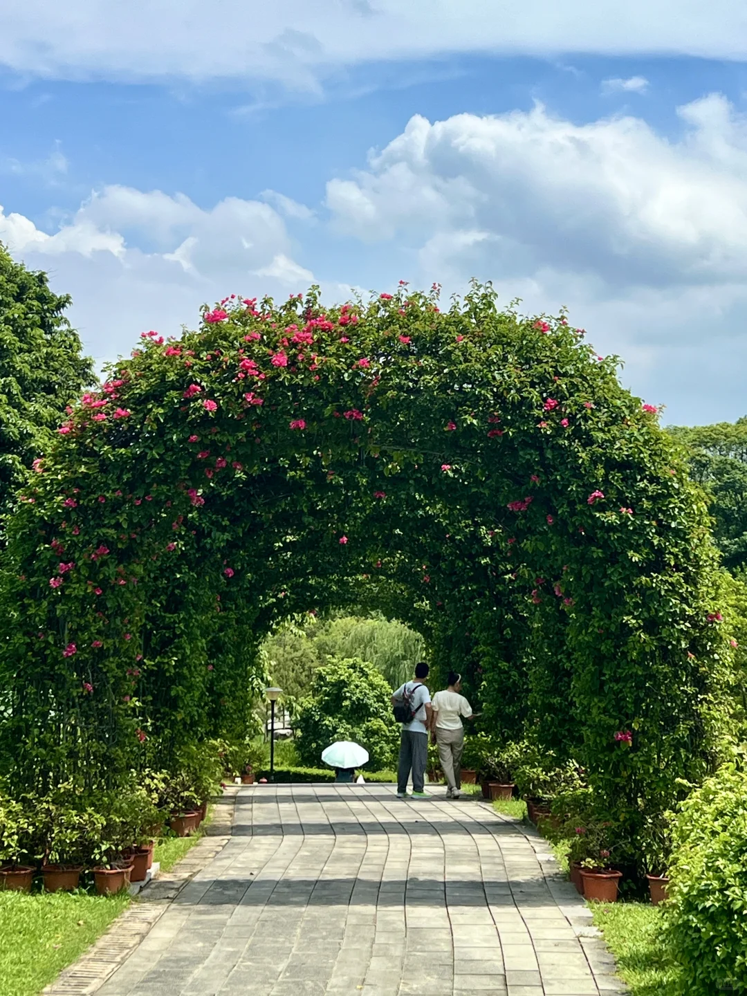 太治愈了！我在东莞找到了现实版绿野仙踪