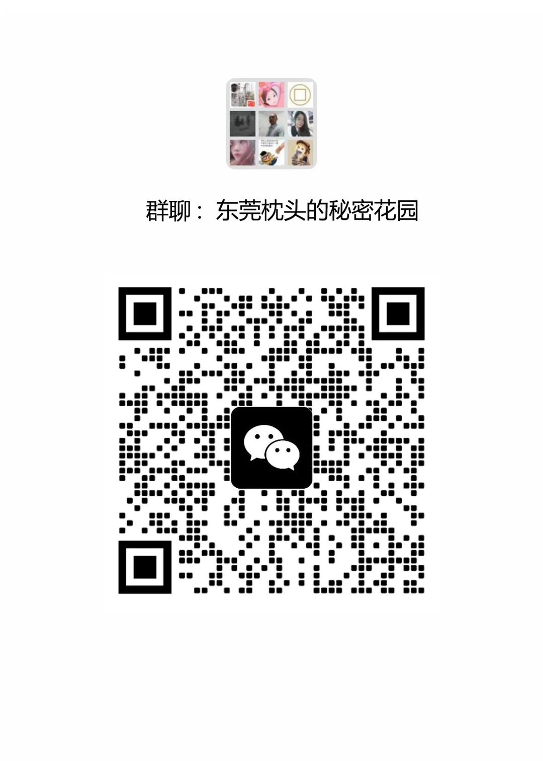 东莞同城寻搭子，一起探索城市乐趣！