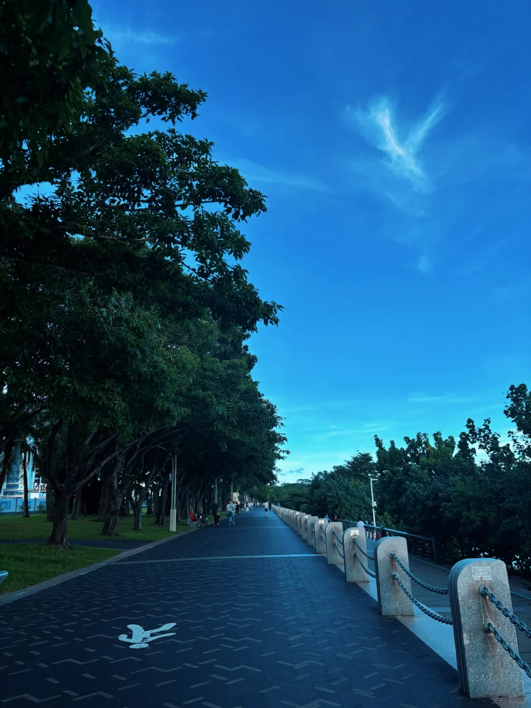 🌊一出地铁便是海！深圳湾能满足我所有愿望