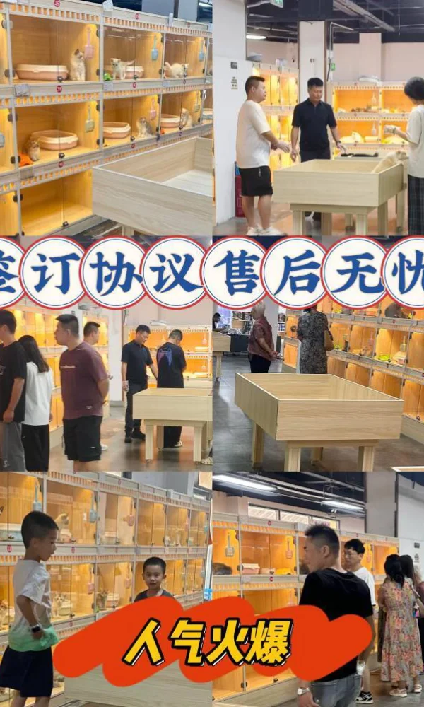 广州看猫看狗推荐地🔥天河大型猫狗基地来了